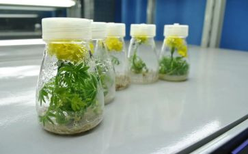 三培养工作计划通用5篇