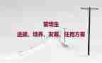 幼儿园培养工作计划6篇
