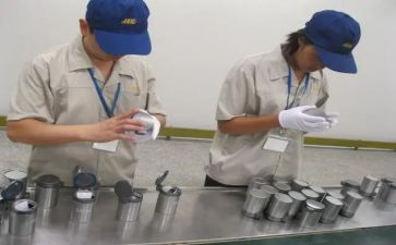 食品检验工作个人总结8篇