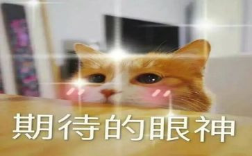 我期待着作文500字6篇
