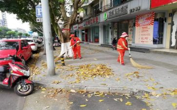 社区清扫心得5篇