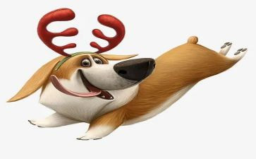 少年与犬读后感推荐5篇