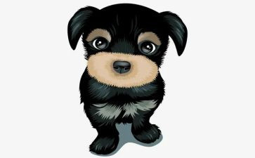 少年与犬读后感优秀5篇