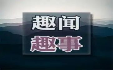 春节趣事300字作文推荐8篇