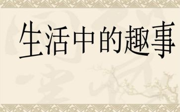 捉蚊趣事的作文优秀7篇