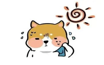 与热爱有关的作文6篇