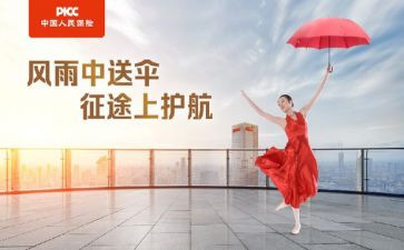 2024年人保工作总结6篇