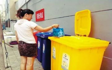 乱扔垃圾,作文优秀8篇