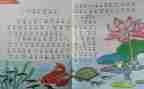 初中历史个人教学总结8篇