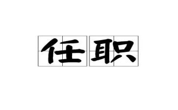 任职以来的专业技术工作总结8篇