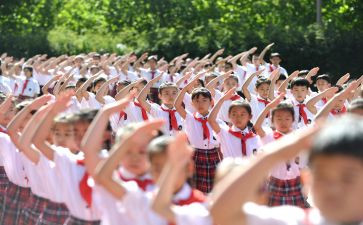 最新入队申请书8篇