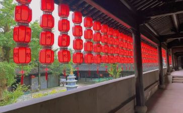 写小狗作文三年级作文8篇