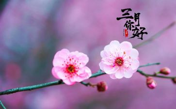 三月份学生会工作总结7篇