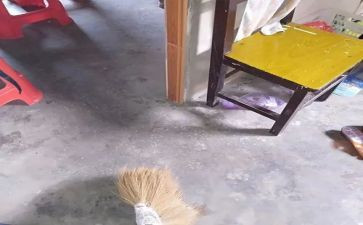 过年大扫除,作文6篇
