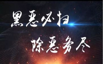 局扫黑除恶斗争工作总结8篇