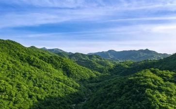 父爱如山的演讲稿8篇