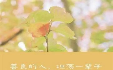 上善化妆总结报告7篇