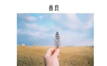 个人善行义举事迹7篇