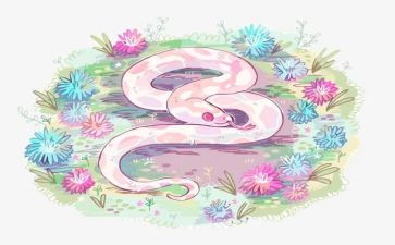 认识蛇的教案模板7篇