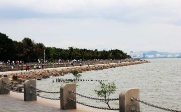 写深圳的作文5篇