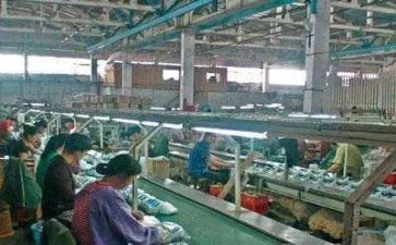 生产与安全工作计划推荐6篇