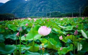 生活委在生活方面自我鉴定精选6篇