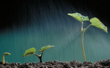 《珍爱生命》演讲稿最新6篇