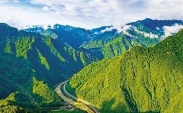 生态作文推荐6篇