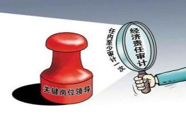 2023年内部审计工作总结6篇