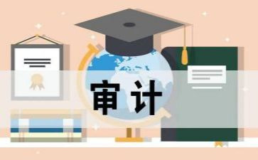 公司财务审计个人总结5篇