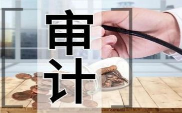 审计人个人总结范文8篇