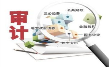 审计个人总结2023模板5篇
