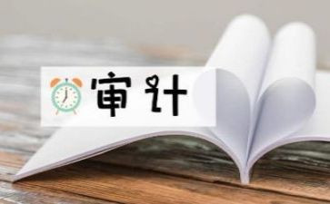 审计所年终工作总结8篇