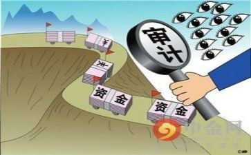 局年度审计工作总结6篇