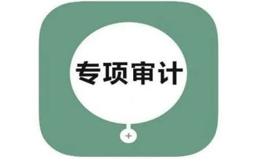 审计局述职职报告6篇
