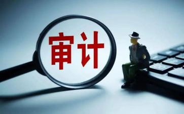 市审计工作计划模板5篇