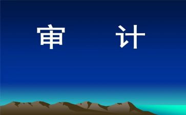 半年度审计工作总结5篇