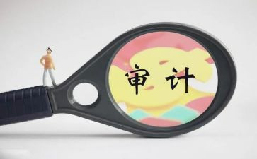 银行审计的年终工作总结6篇