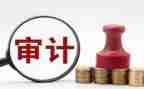 医院年度审计工作报告6篇