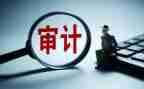 内部审计个人工作总结8篇