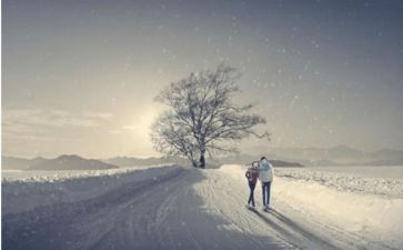 深情类作文通用7篇