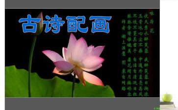 关于诗的演讲稿精选7篇