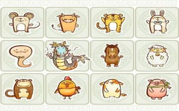 十二生肖画教案模板8篇