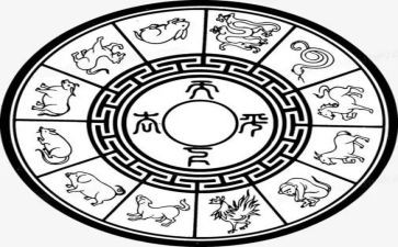 大班社会十二生肖教案8篇