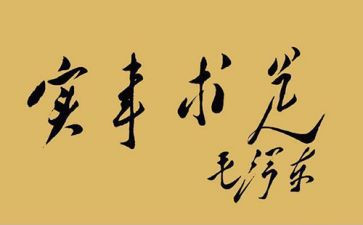村我为群众办实事工作总结5篇