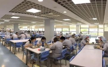 食堂的总结报告7篇