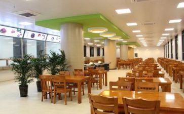 2023年食堂个人工作总结模板6篇