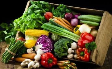 食物浪费调查报告6篇