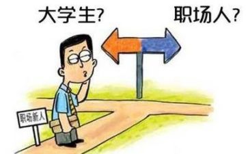 实习工作总结个人简洁7篇