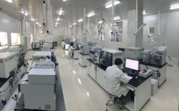 图的实验报告总结6篇